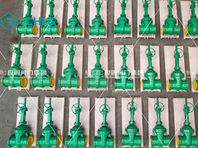 中國制造護(hù)航中亞能源｜良固閥門參與烏茲別克斯坦蘇坎達(dá)亞1600兆瓦聯(lián)合循環(huán)電站項(xiàng)目