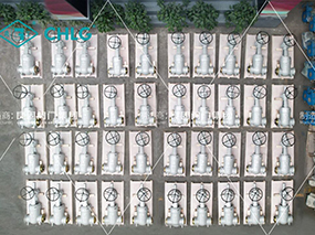 出口沙特阿拉伯｜良固閥門電站閥門交付1800MW聯(lián)合循環(huán)電站項(xiàng)目